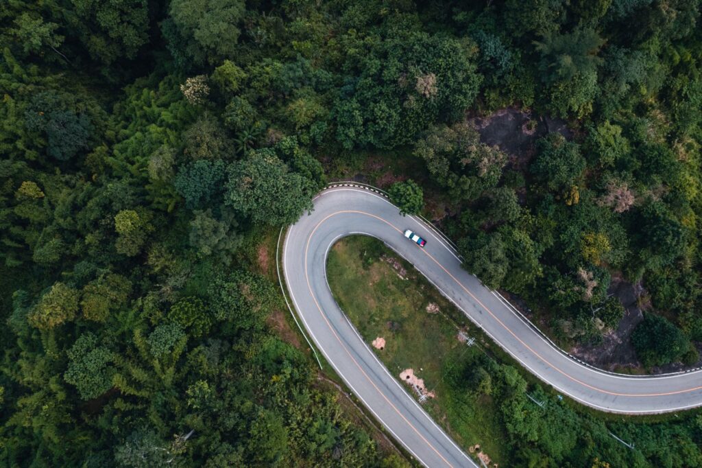Mountain Road And Green Trees From Above