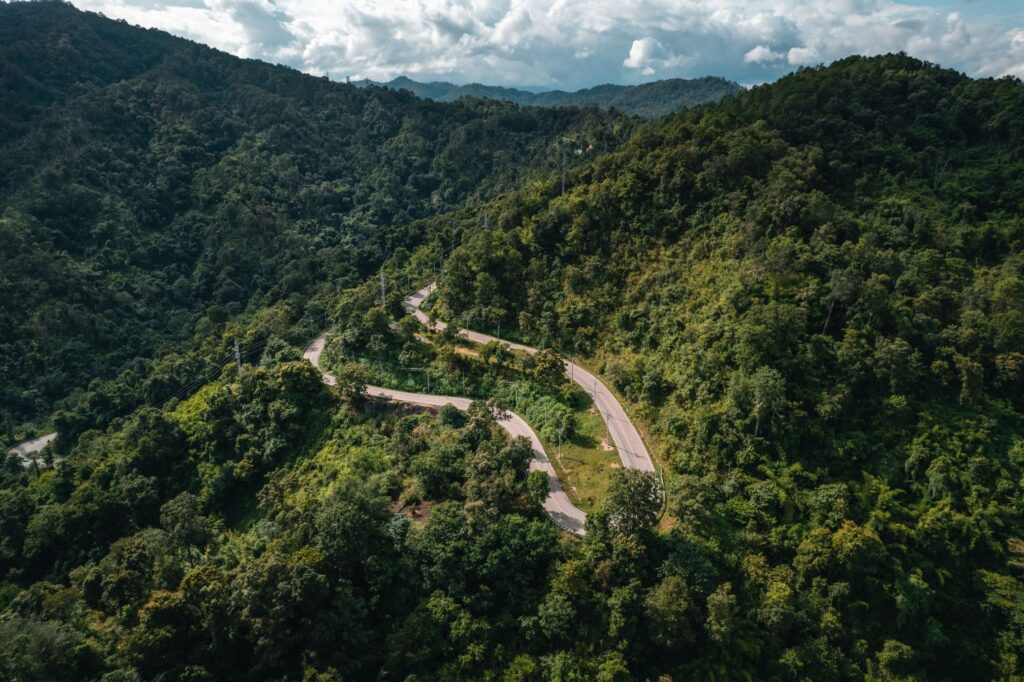 Mountain Road And Green Trees From Above